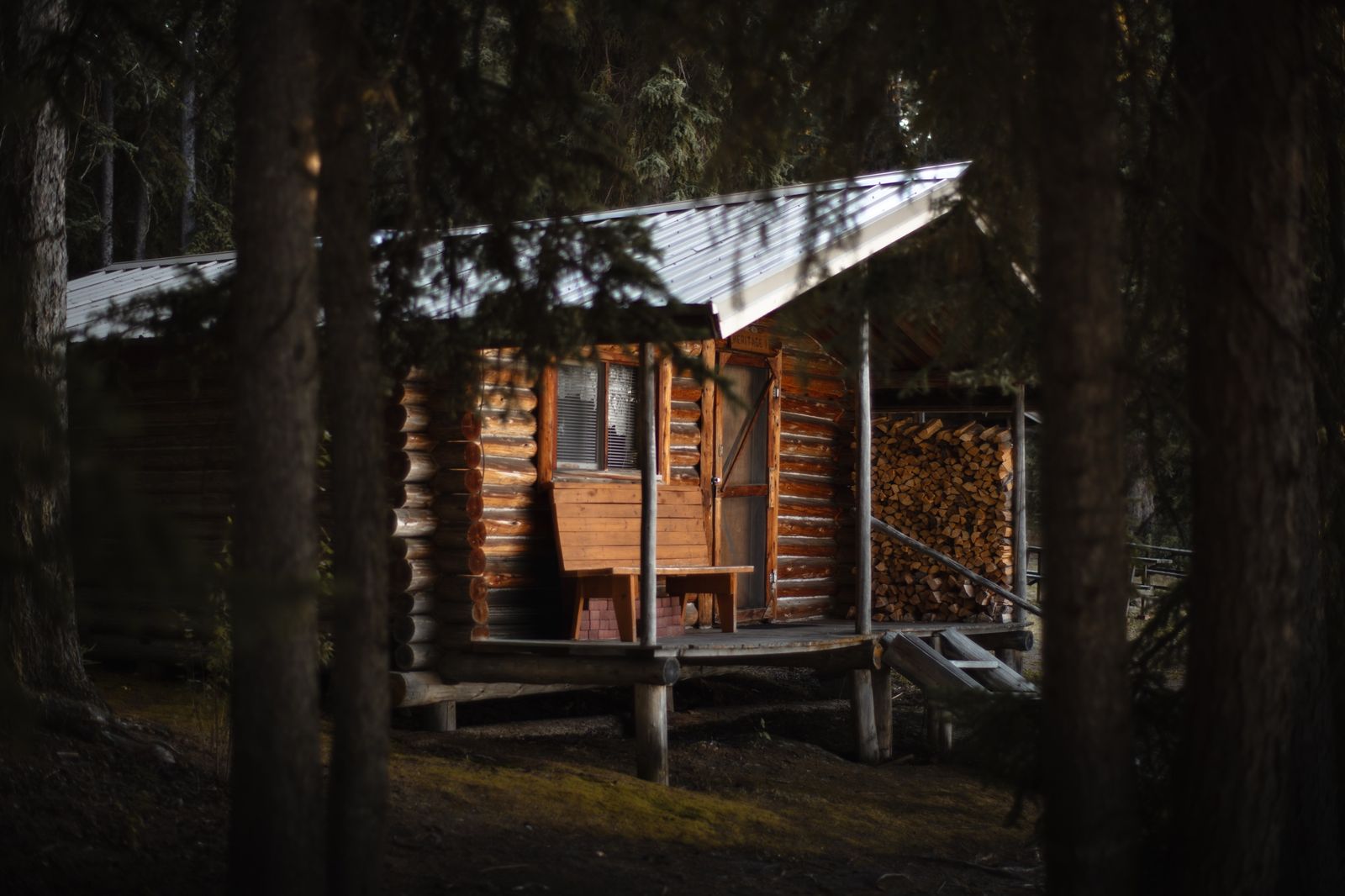 Heritage 1, a log cabin with a porch bench and stacked firewood, seen through the spruce