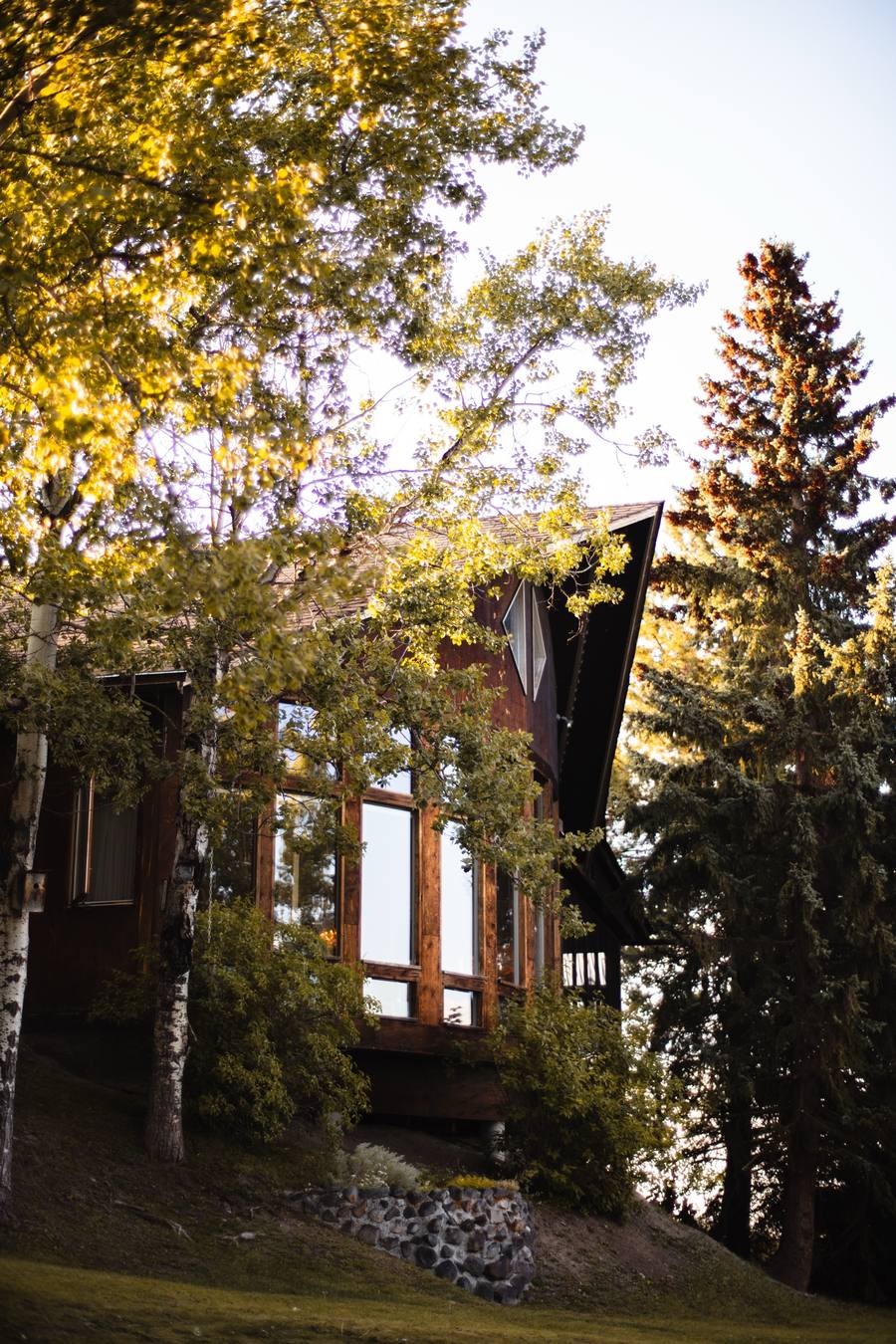 The main lodge's timber window wall behind aspen and spruce in evening light