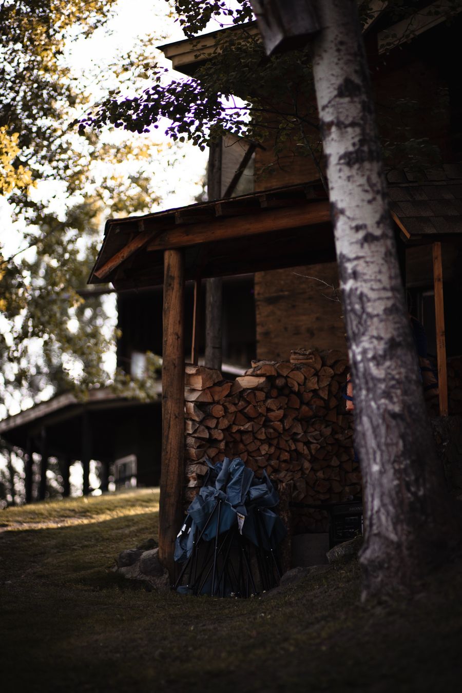 Split firewood stacked under a covered porch beside a birch trunk